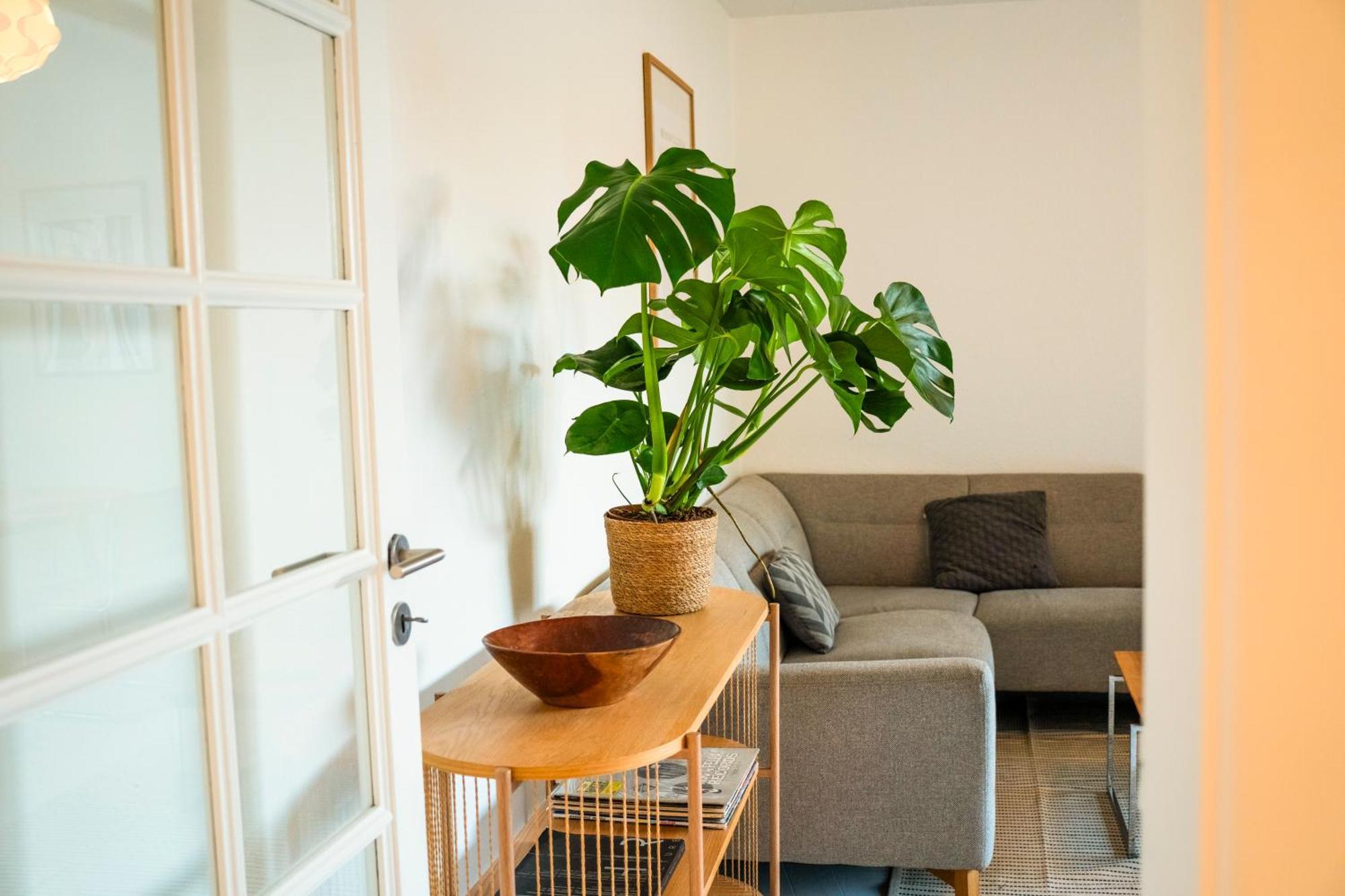 Retreat Garden Oasis